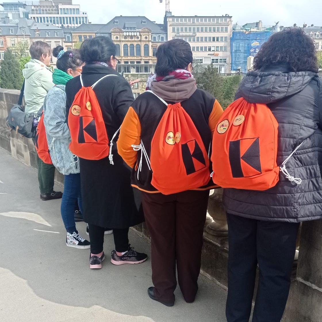 Die Gruppe blickt auf die Stadt Luxemburg hinab.