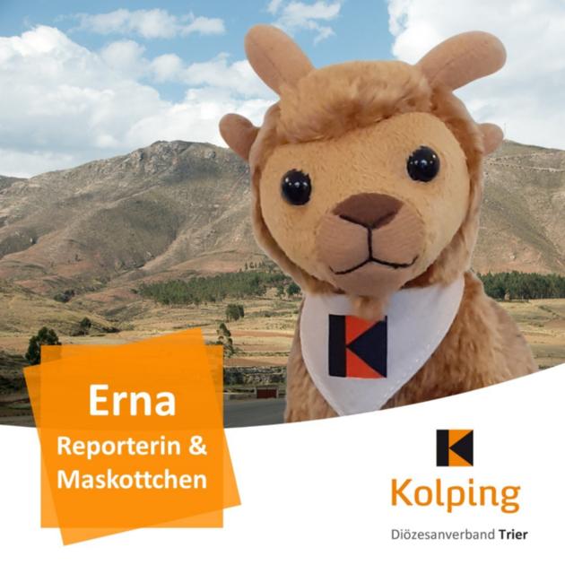 Vor einer Landschaft in Potosi Bolivien schaut Andenziege Erna (Stofftier) die Betrachtenden an.