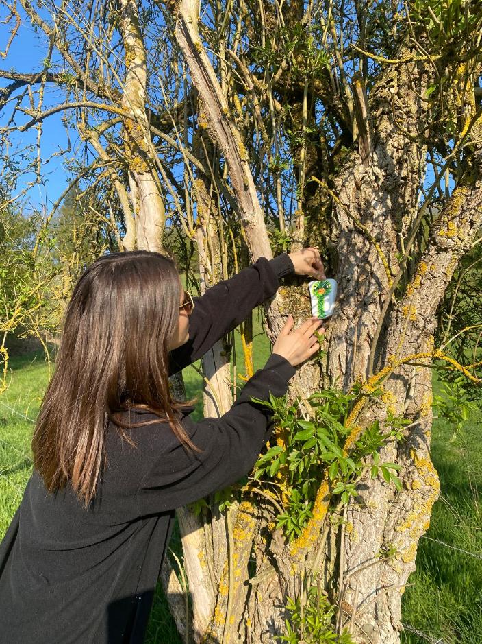 Eine Frau schmückt einen Baum auf dem Kulturweg.