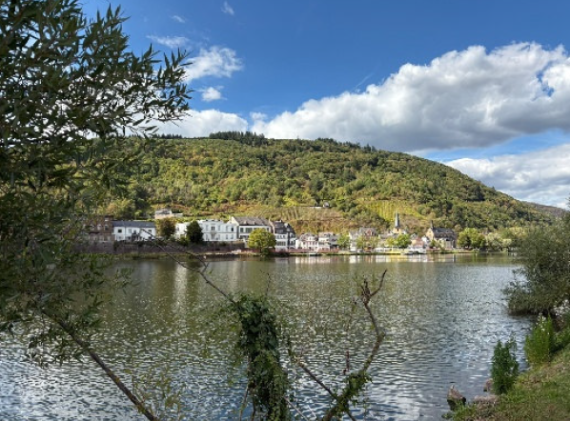 Mosel im Hintergrund ein Moselort mit Weinbergen und Wald im Hintergrund
