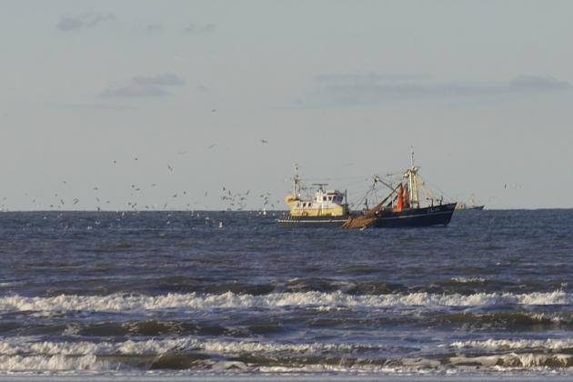 Fischereischiff auf See