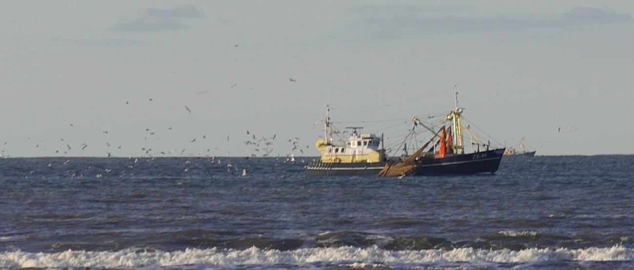 Fischereischiff auf See