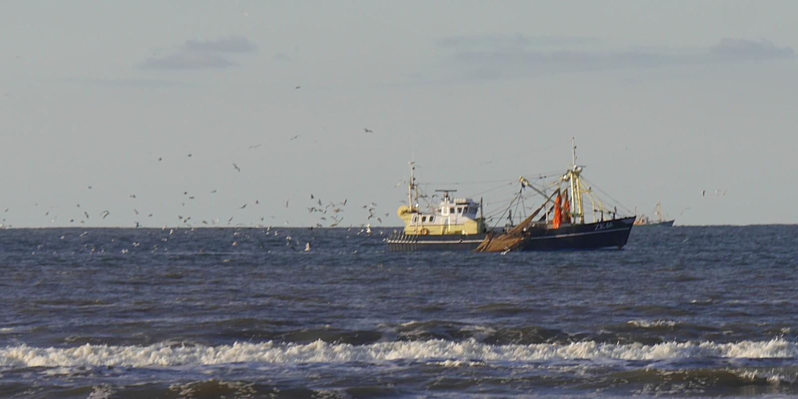 Fischereischiff auf See