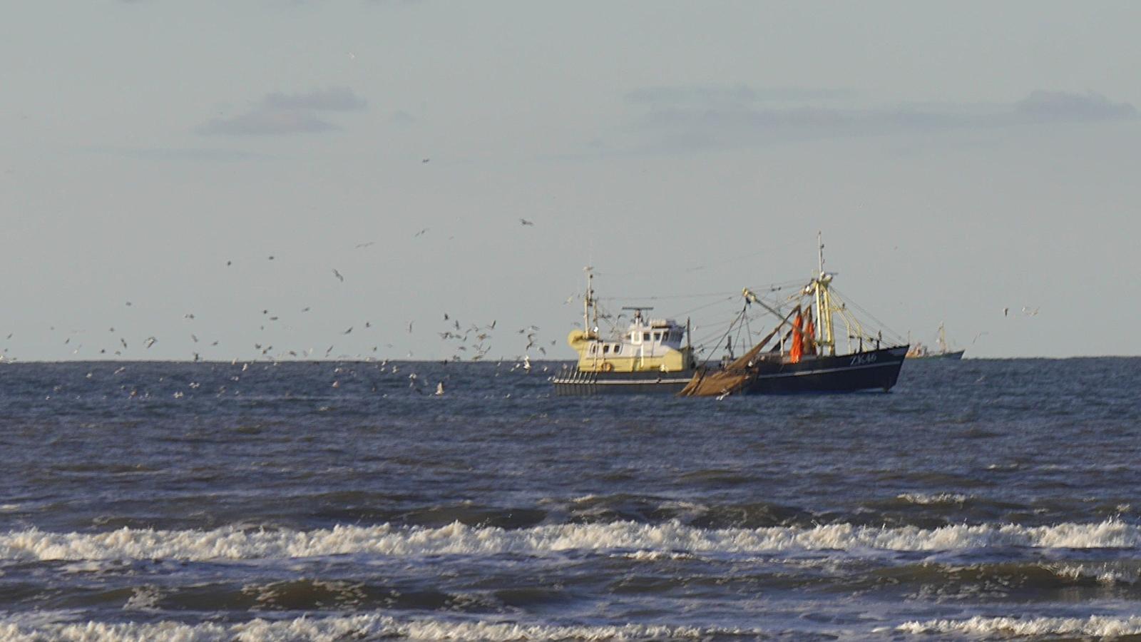 Fischereischiff auf See