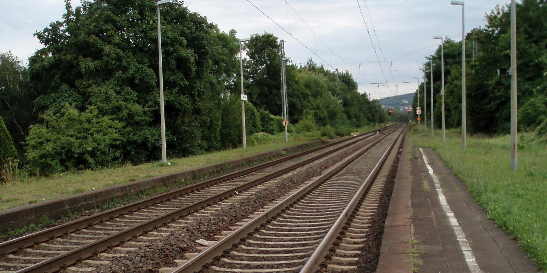 Blick auf eine zweigleisige, von Bäumen gerahmte Bahnstrecke mit schmalem Bahnsteig, der in Wiese übergeht. (c) Martina Wagner Blick auf eine zweigleisige, von Bäumen gerahmte Bahnstrecke mit schmalem Bahnsteig, der in Wiese übergeht.