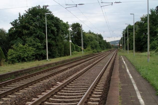 Blick auf eine zweigleisige, von Bäumen gerahmte Bahnstrecke mit schmalem Bahnsteig, der in Wiese übergeht.
