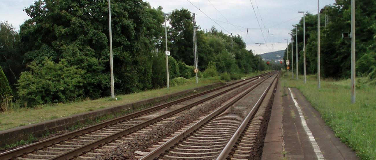 Blick auf eine zweigleisige, von Bäumen gerahmte Bahnstrecke mit schmalem Bahnsteig, der in Wiese übergeht.