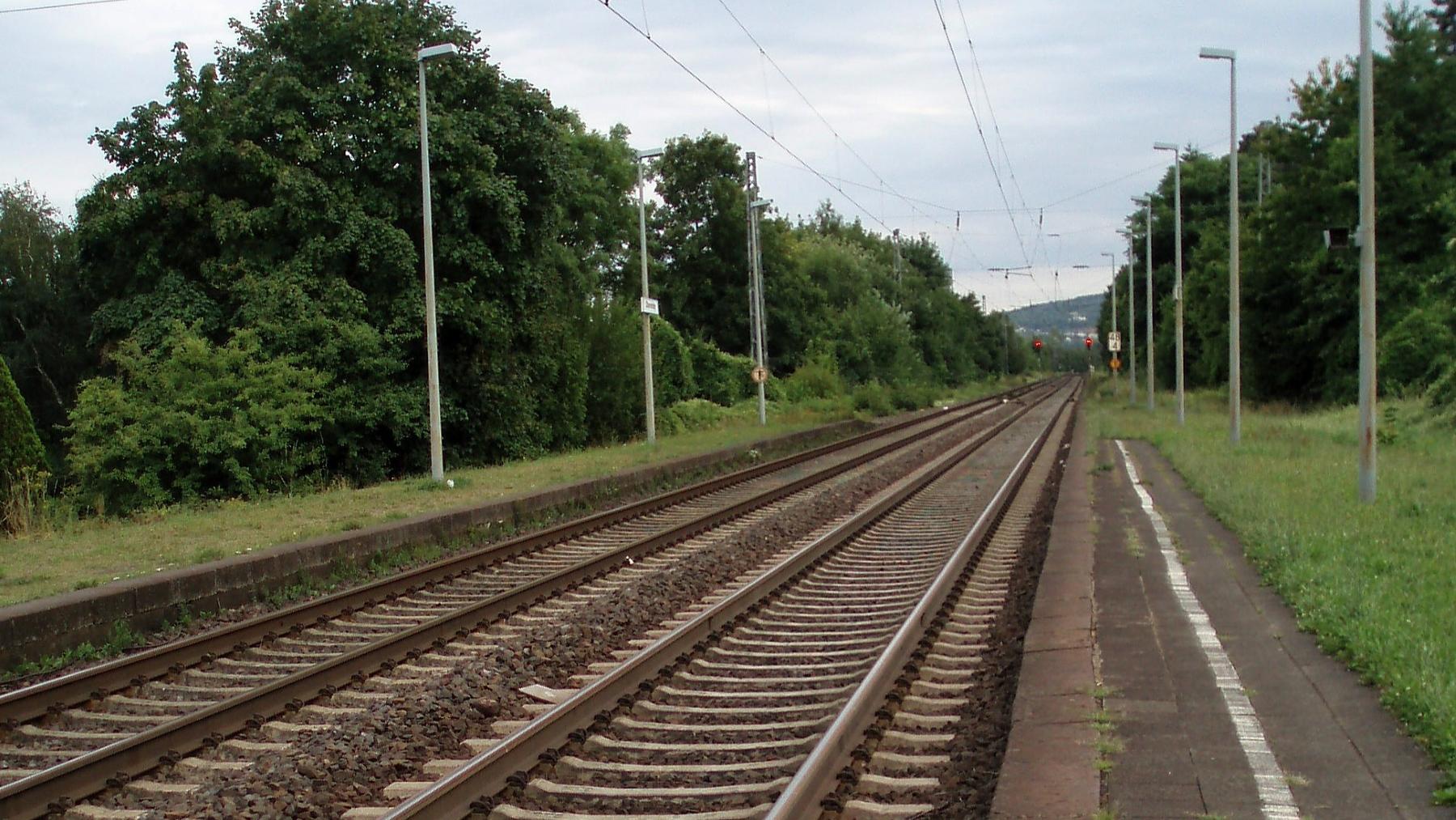 Blick auf eine zweigleisige, von Bäumen gerahmte Bahnstrecke mit schmalem Bahnsteig, der in Wiese übergeht.