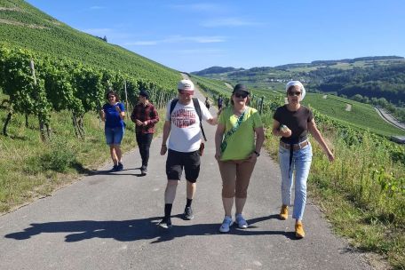 Blauer Himmel, Weinberge, Wanderer