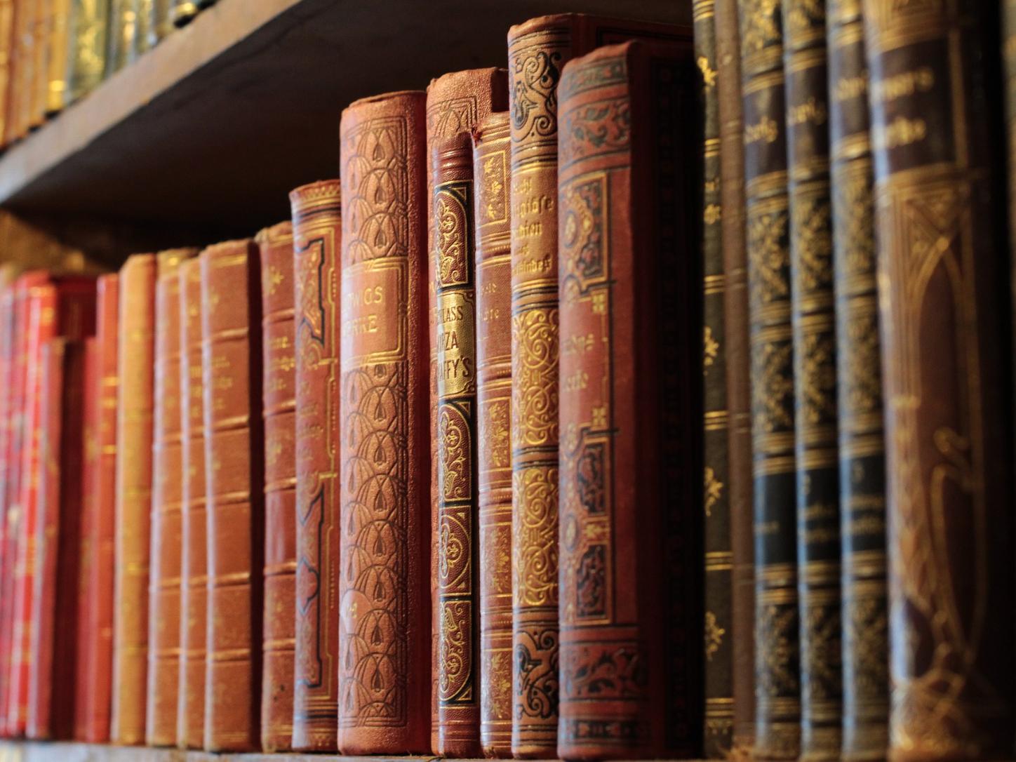 Man sieht auf ein Bücherregal mit Buchrücken in den Farbentönen rot-orange-braun.