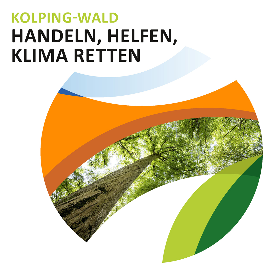 Kolping-Wald_05
