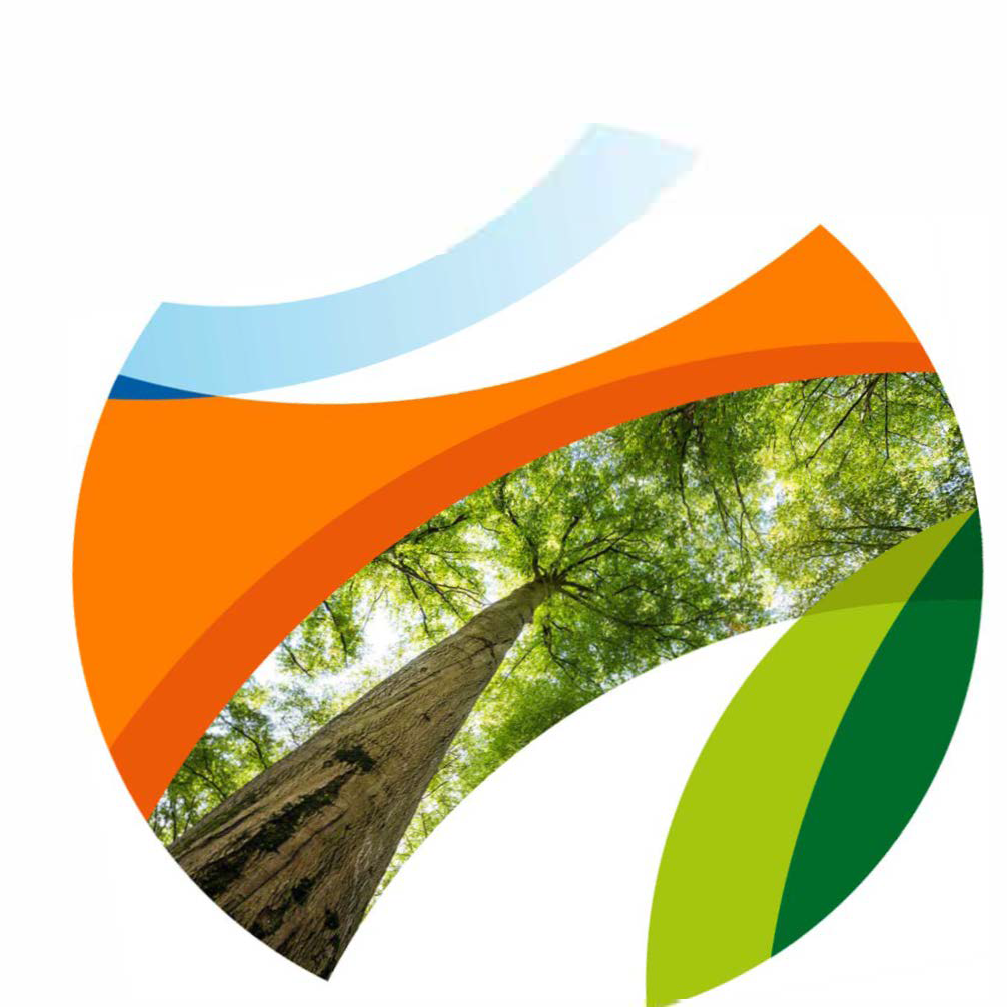 Logo KolpingWald ohne Schriftzug