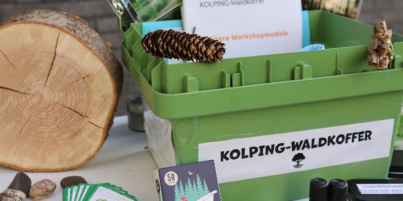 Prospekte, ein Baumstamm, Tannenzapfen, Duftöle